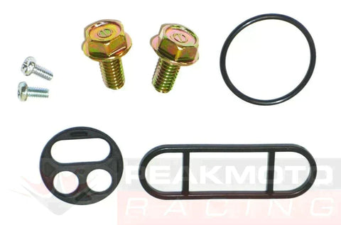 YAMAHA XV1600 Road Star 99-03 Fuel Petcock Repair Kit Shutoff Valve